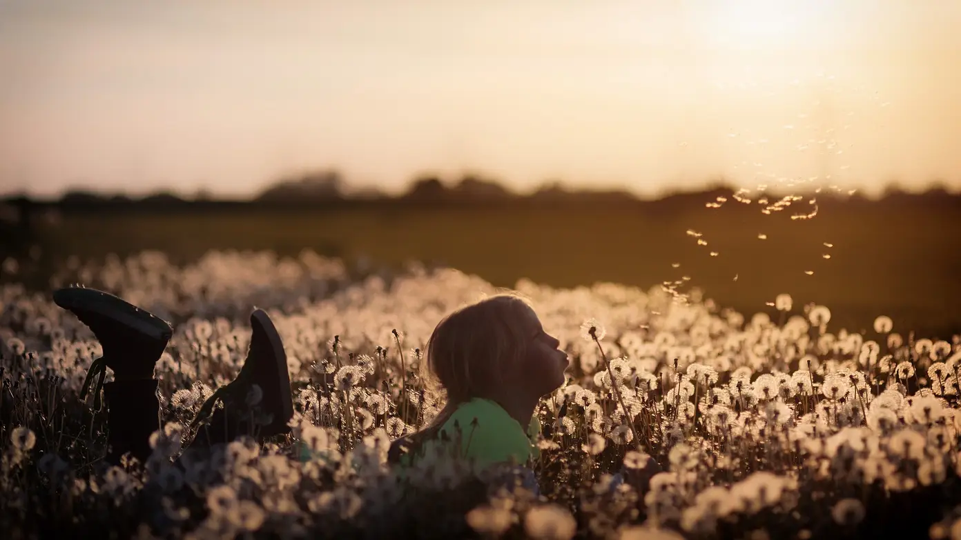 Liggend kind met paardenbloemen